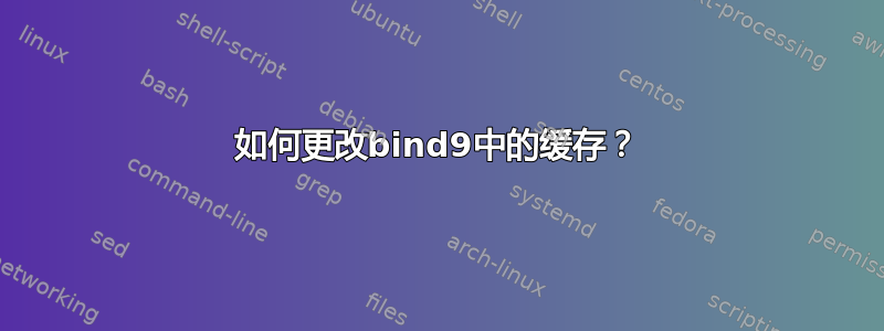 如何更改bind9中的缓存？