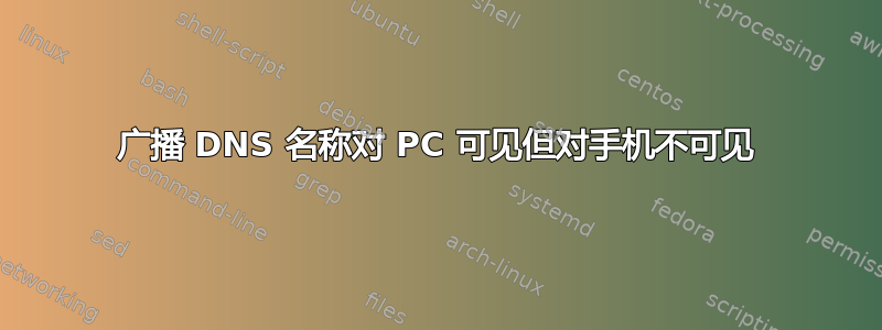 广播 DNS 名称对 PC 可见但对手机不可见