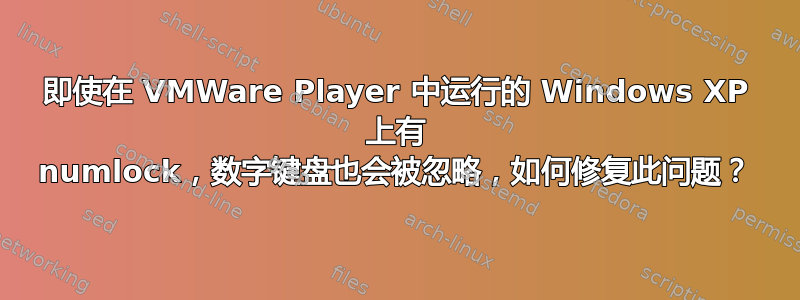 即使在 VMWare Player 中运行的 Windows XP 上有 numlock，数字键盘也会被忽略，如何修复此问题？