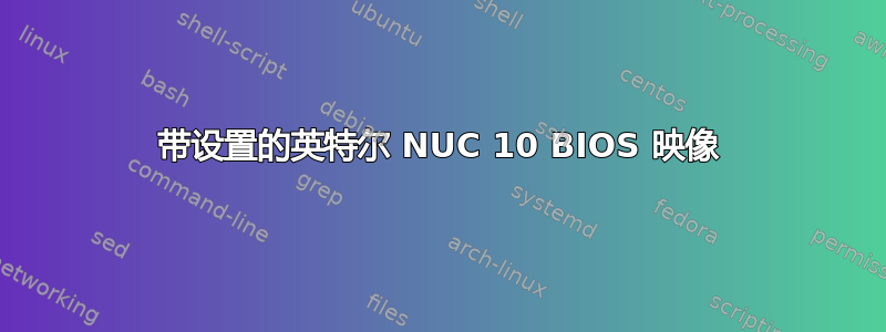 带设置的英特尔 NUC 10 BIOS 映像