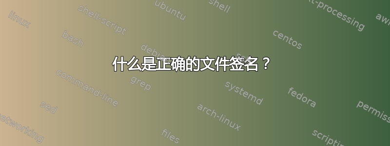 什么是正确的文件签名？