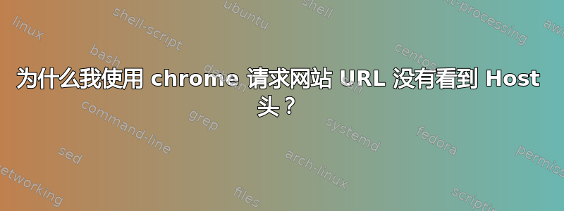 为什么我使用 chrome 请求网站 URL 没有看到 Host 头？