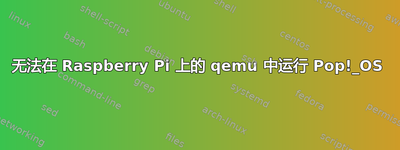 无法在 Raspberry Pi 上的 qemu 中运行 Pop!_OS