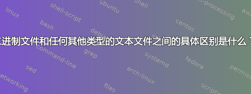 二进制文件和任何其他类型的文本文件之间的具体区别是什么？