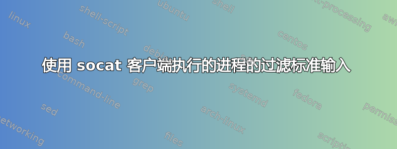 使用 socat 客户端执行的进程的过滤标准输入