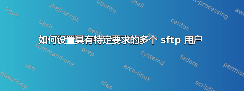 如何设置具有特定要求的多个 sftp 用户