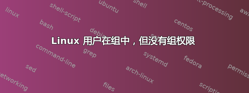 Linux 用户在组中，但没有组权限