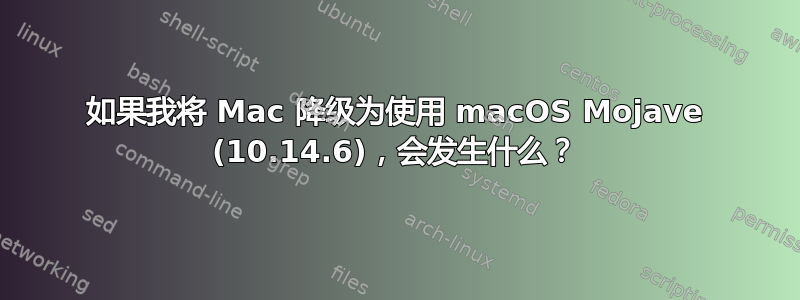 如果我将 Mac 降级为使用 macOS Mojave (10.14.6)，会发生什么？