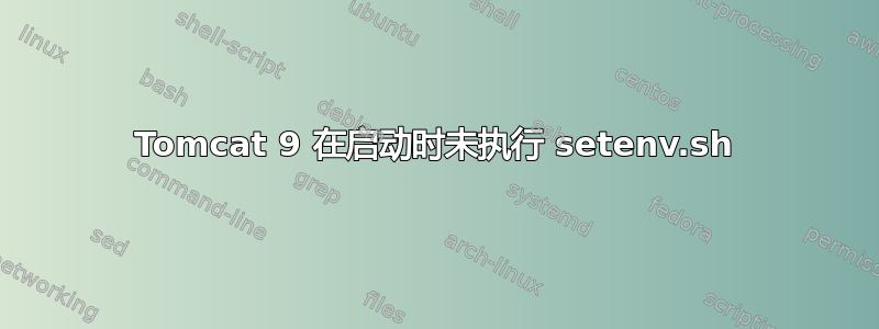 Tomcat 9 在启动时未执行 setenv.sh