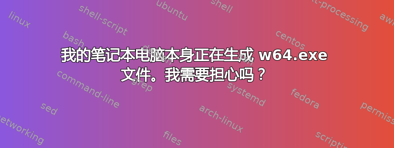 我的笔记本电脑本身正在生成 w64.exe 文件。我需要担心吗？