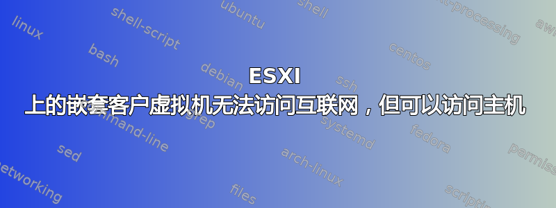 ESXI 上的嵌套客户虚拟机无法访问互联网，但可以访问主机