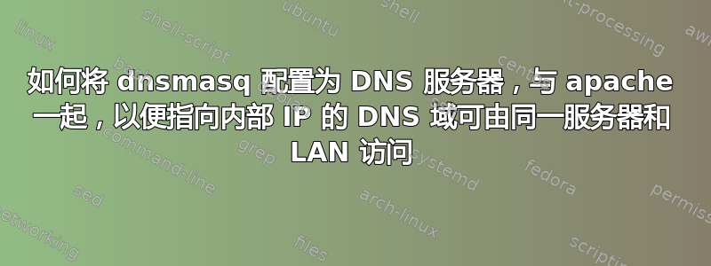 如何将 dnsmasq 配置为 DNS 服务器，与 apache 一起，以便指向内部 IP 的 DNS 域可由同一服务器和 LAN 访问