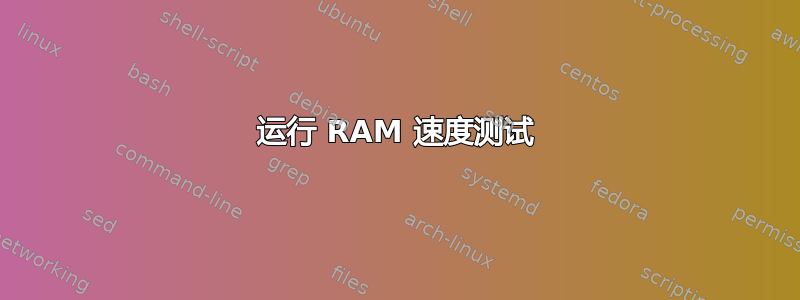 运行 RAM 速度测试