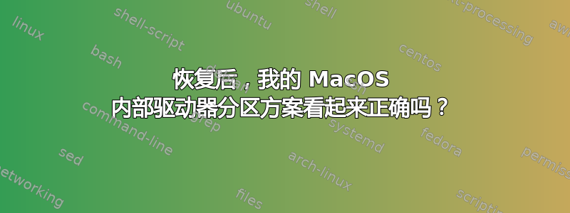 恢复后，我的 MacOS 内部驱动器分区方案看起来正确吗？