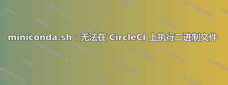 miniconda.sh：无法在 CircleCI 上执行二进制文件