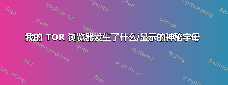 我的 TOR 浏览器发生了什么/显示的神秘字母