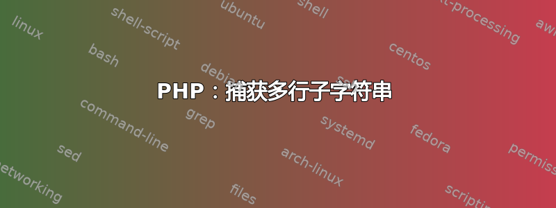 PHP：捕获多行子字符串