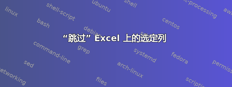 “跳过” Excel 上的选定列