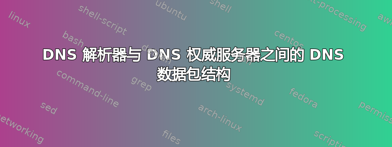 DNS 解析器与 DNS 权威服务器之间的 DNS 数据包结构