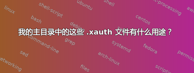 我的主目录中的这些 .xauth 文件有什么用途？