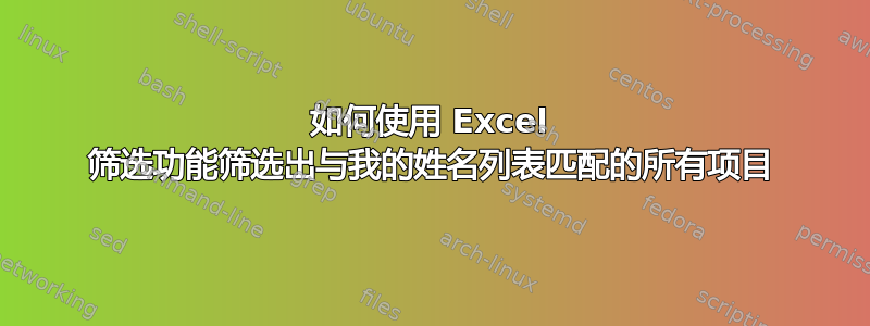 如何使用 Excel 筛选功能筛选出与我的姓名列表匹配的所有项目