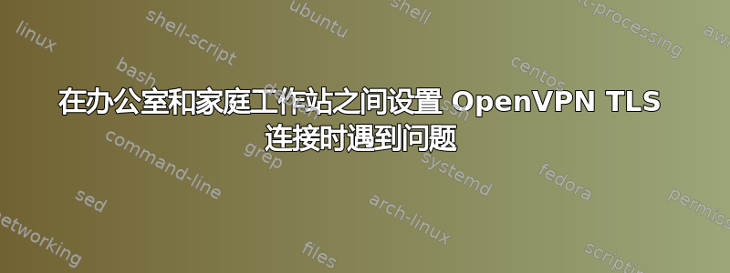 在办公室和家庭工作站之间设置 OpenVPN TLS 连接时遇到问题