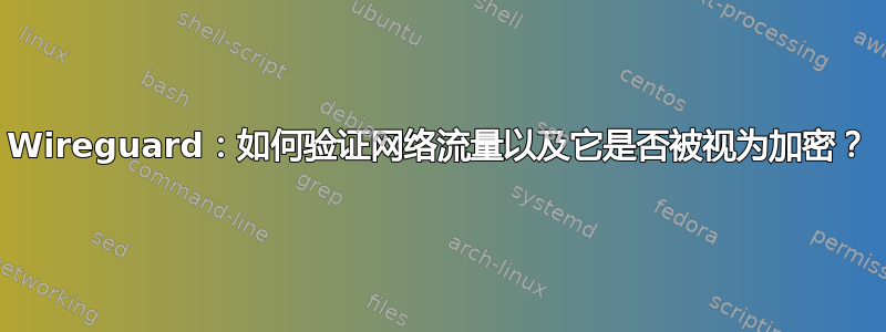 Wireguard：如何验证网络流量以及它是否被视为加密？