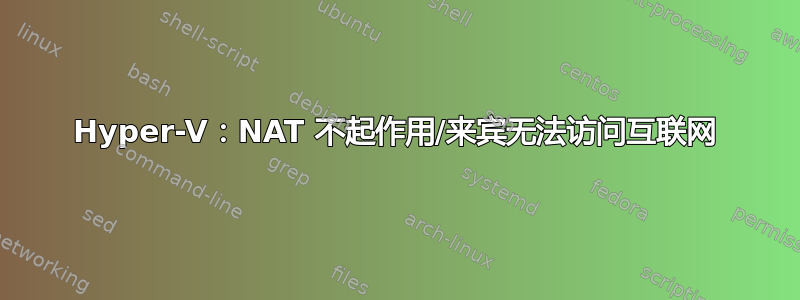 Hyper-V：NAT 不起作用/来宾无法访问互联网