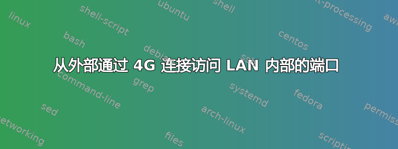 从外部通过 4G 连接访问 LAN 内部的端口