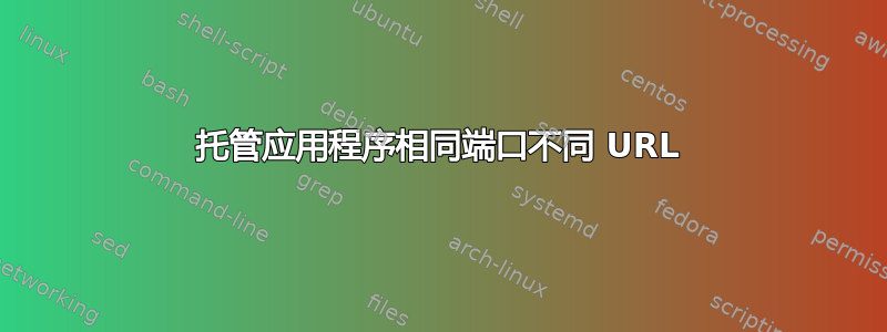 托管应用程序相同端口不同 URL