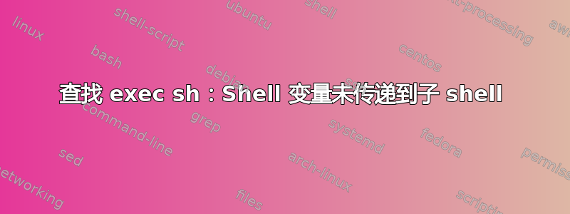 查找 exec sh：Shell 变量未传递到子 shell