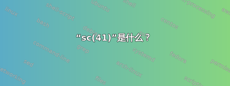 “sc(41)”是什么？