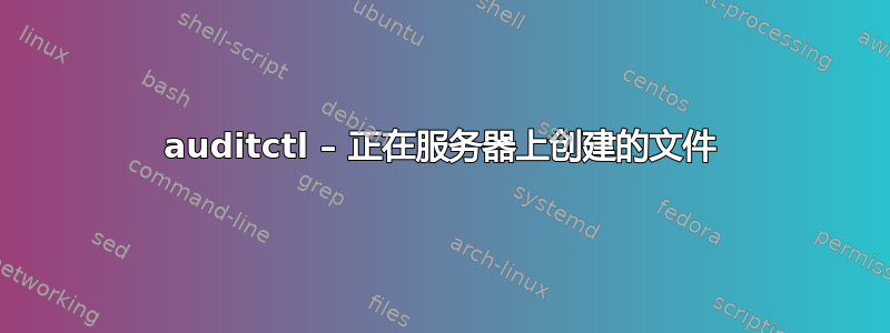 auditctl – 正在服务器上创建的文件