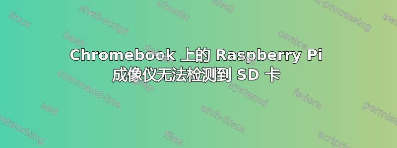 Chromebook 上的 Raspberry Pi 成像仪无法检测到 SD 卡