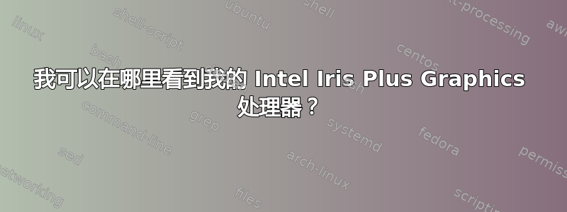 我可以在哪里看到我的 Intel Iris Plus Graphics 处理器？