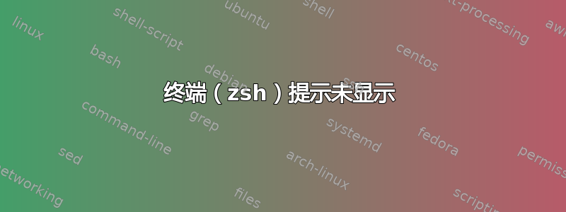 终端（zsh）提示未显示