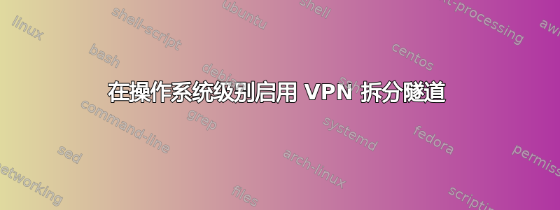 在操作系统级别启用 VPN 拆分隧道