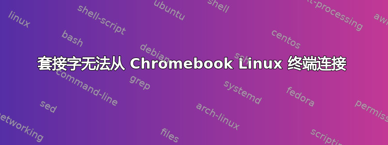 套接字无法从 Chromebook Linux 终端连接