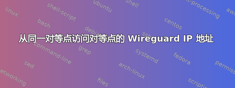 从同一对等点访问对等点的 Wireguard IP 地址