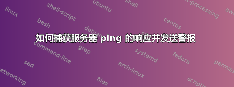 如何捕获服务器 ping 的响应并发送警报