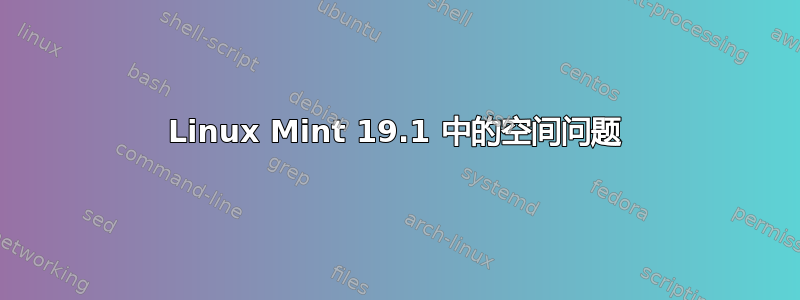 Linux Mint 19.1 中的空间问题