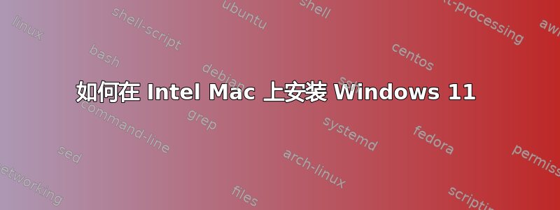 如何在 Intel Mac 上安装 Windows 11