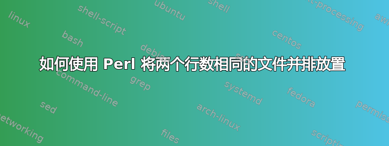 如何使用 Perl 将两个行数相同的文件并排放置