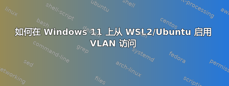 如何在 Windows 11 上从 WSL2/Ubuntu 启用 VLAN 访问