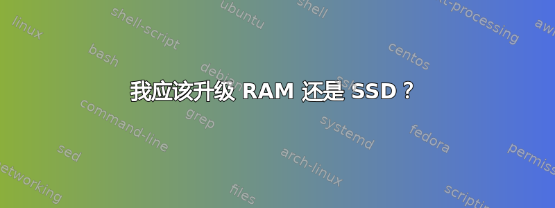 我应该升级 RAM 还是 SSD？