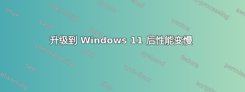 升级到 Windows 11 后性能变慢