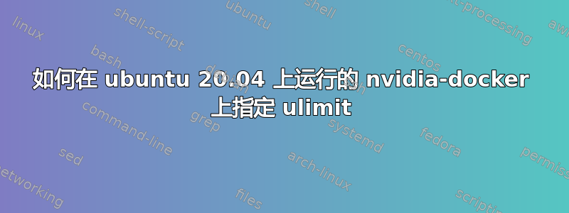 如何在 ubuntu 20.04 上运行的 nvidia-docker 上指定 ulimit