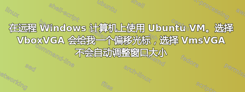 在远程 Windows 计算机上使用 Ubuntu VM。选择 VboxVGA 会给我一个偏移光标，选择 VmsVGA 不会自动调整窗口大小