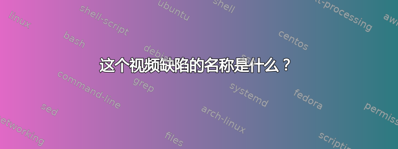 这个视频缺陷的名称是什么？