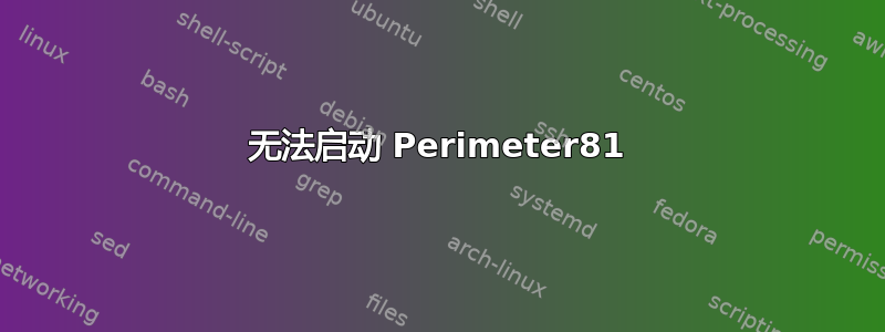 无法启动 Perimeter81